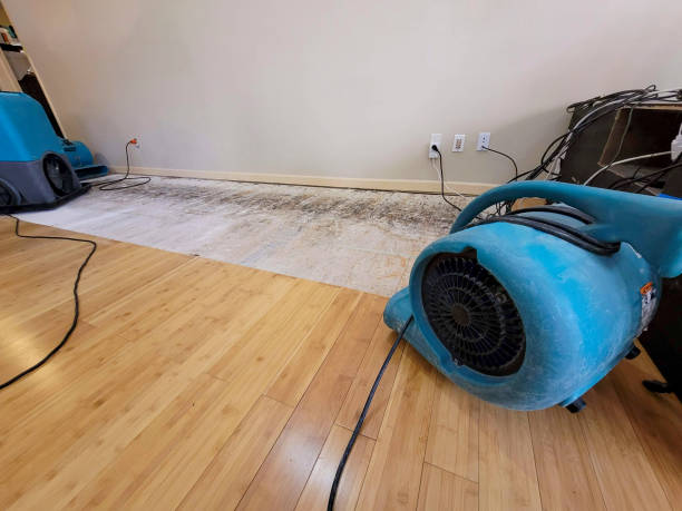 Professional Sewage Cleanup technician working in Newhall, CA